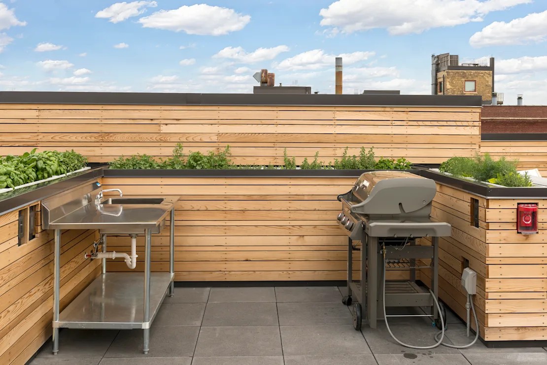 Borealis Rooftop 2